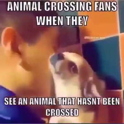 Why does this exist