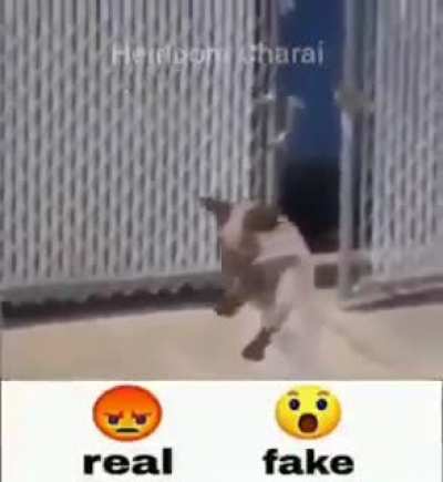 real o fake (cr&eacute;ditos Heirloom Charai)