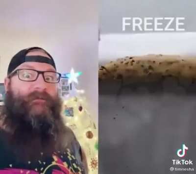 forgive me for the unfunny video