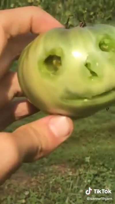 I&rsquo;m not sure what this is but it may be the best thing I&rsquo;ve seen all day