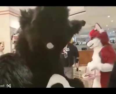 Puro_Irl