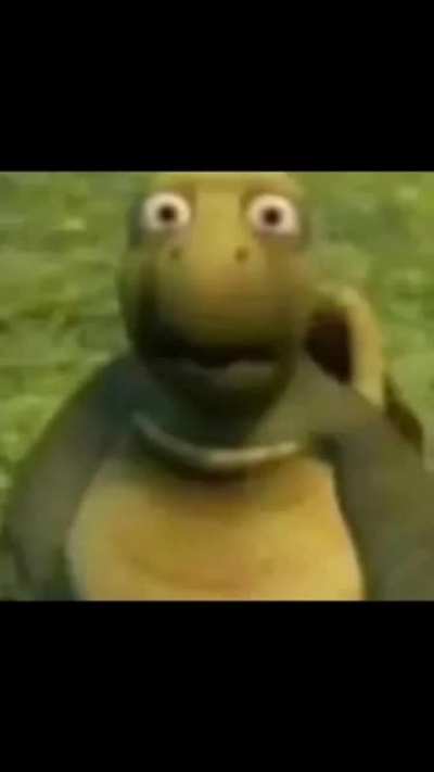 kkkkkk