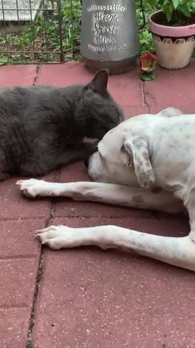 He&rsquo;s a very good big brother