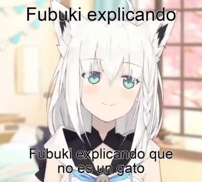 "Fubuki explaining that she is not a cat"