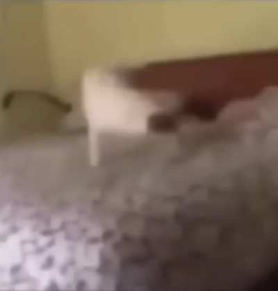 NO-