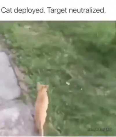 he attak