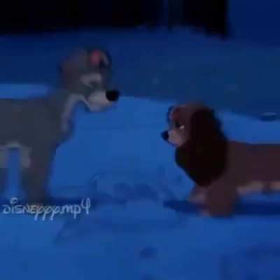 esse v&iacute;deo &eacute; muito emocionante