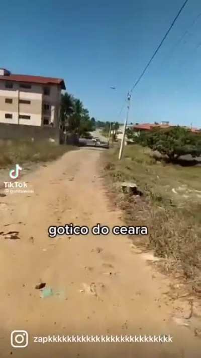 eu_nvr