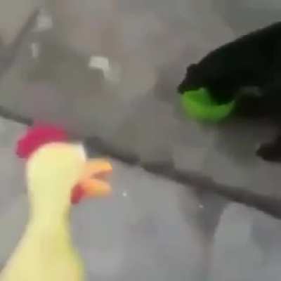 R*bber Ch*cken