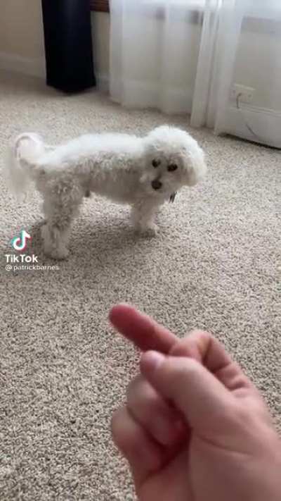 He takes no shit