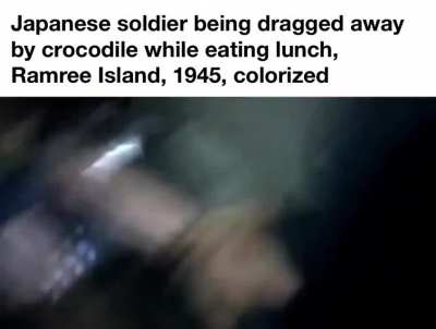 &ldquo;Most soldiers killed by crocodiles in battle.&rdquo;