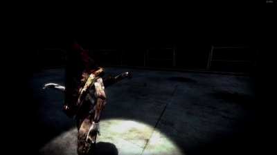 (SH2) what really happened on the roof
