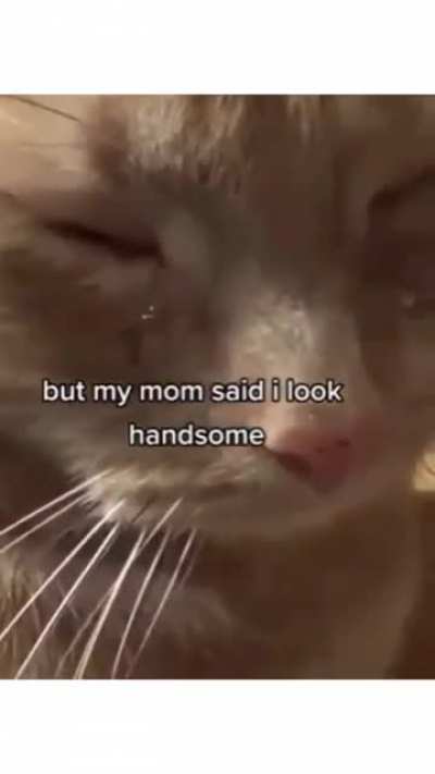 🥺😞