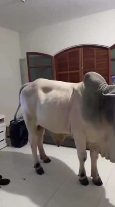 Bom almo&ccedil;o pessoal!