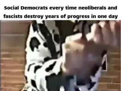 Socialdemocrats every time neoliberals and fascists destroy years of progress in one day