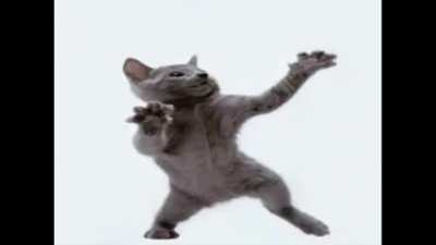 Momento Cat🐈