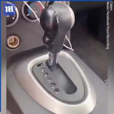 Turning a Nissan into a "Tesla"