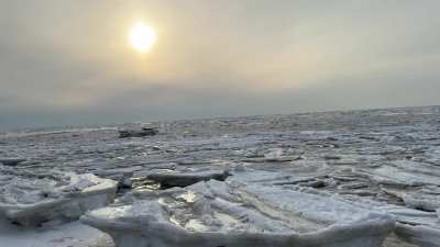 Higbee Beach- Philly Adjacent