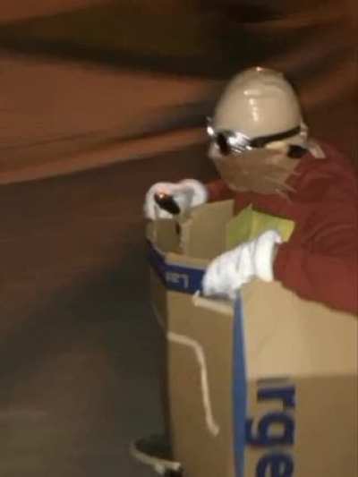 Eggman car