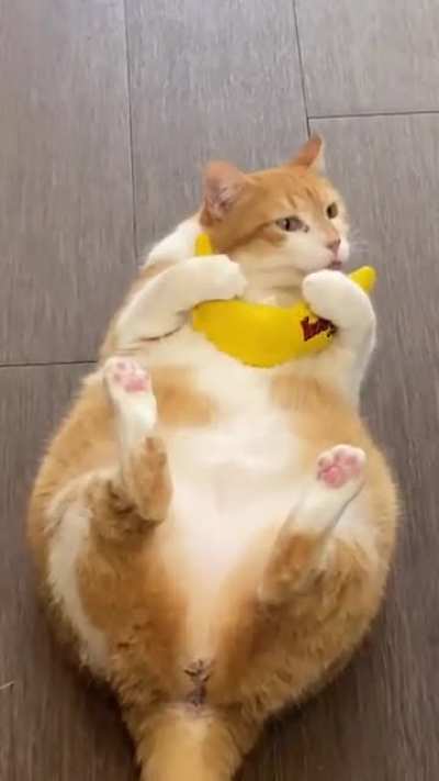 Those little bunny kicks