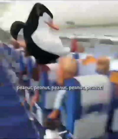 🛩🏣