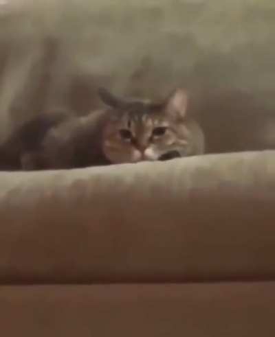 Wait for it...