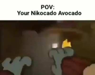 POV: your rod on 2019