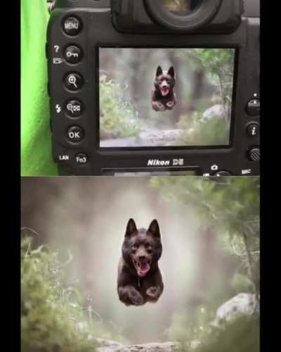 WCGW running straight at a photographer
