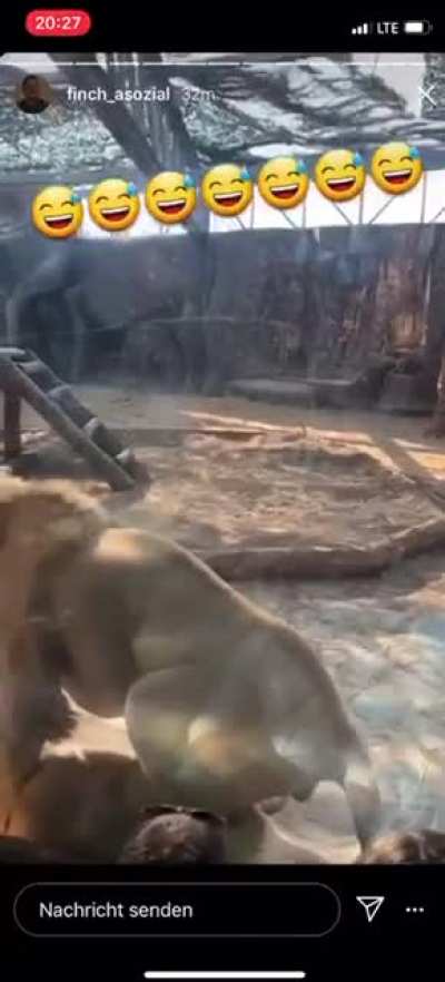Штош...почти как люди