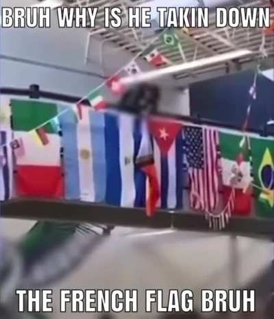 🇫🇷🐸