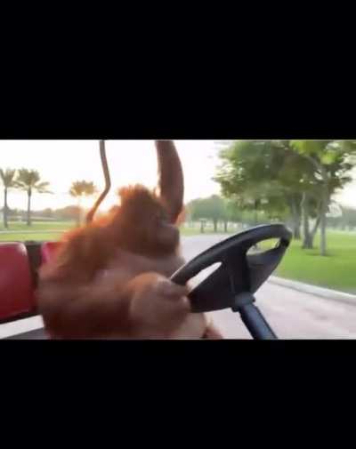 where he goin 👀