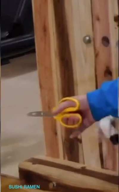 Nice throw!