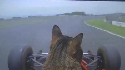 Sebastian Cattel does an installation lap