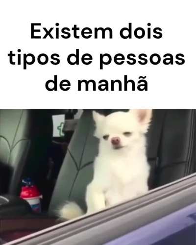 Qual deles &eacute; voc&ecirc;?