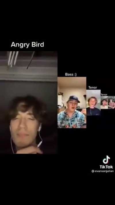 Angry bird