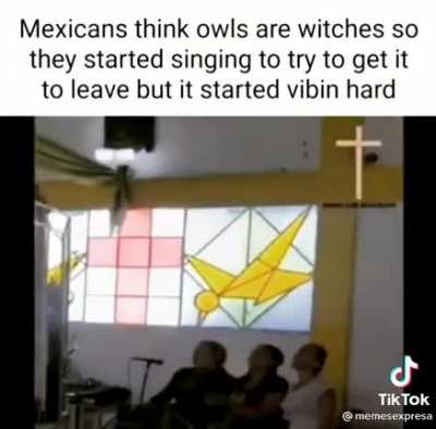 Mexicans think owls are witches so they started singing to try to get it to leave but it started vibin