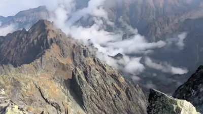 Climbers reaching the summit of Rysy (2,499m), the highest peak in Poland’s Tatra Mountains, were stunned to find a calm, lone tabby cat waiting for them at the summit.