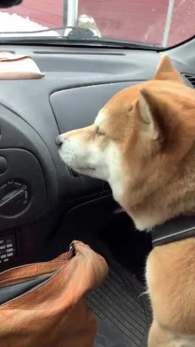 The happy noises