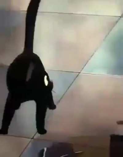 beh