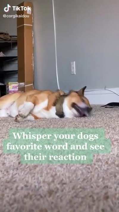 So relatable