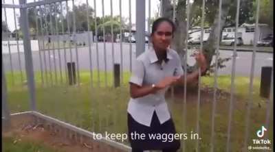 Wagging