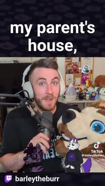 Furry_irl