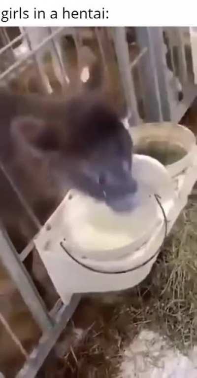 Milk.