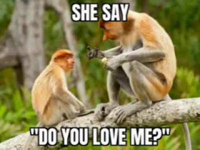 monke