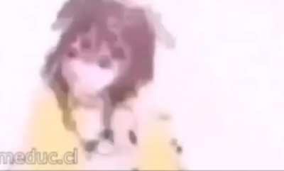 Vtr