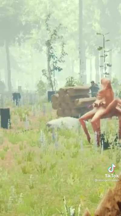 The forest be like&hellip; @mangocraunch