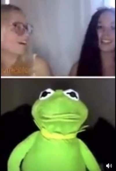 Kermit is up to something questionable...