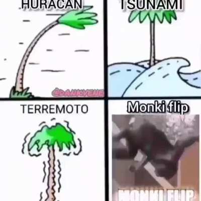 Monki flip