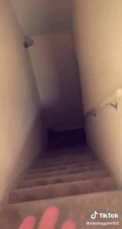 He&rsquo;s in the wall 😳