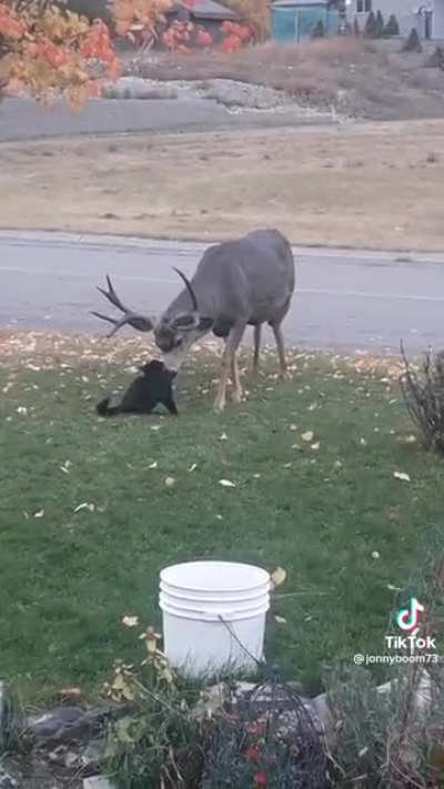 Maybe Maybe Maybe